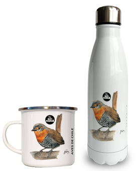 Productos tazones y botellas
