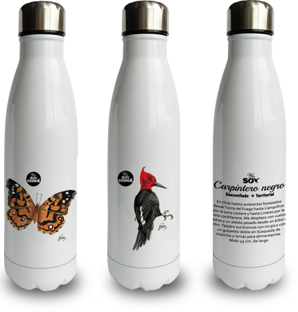 Botellas térmicas con ilustraciones de fauna nativa